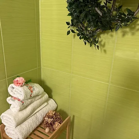 佩拉大楼内克拉西公寓酒店 3* 帕莫瑞